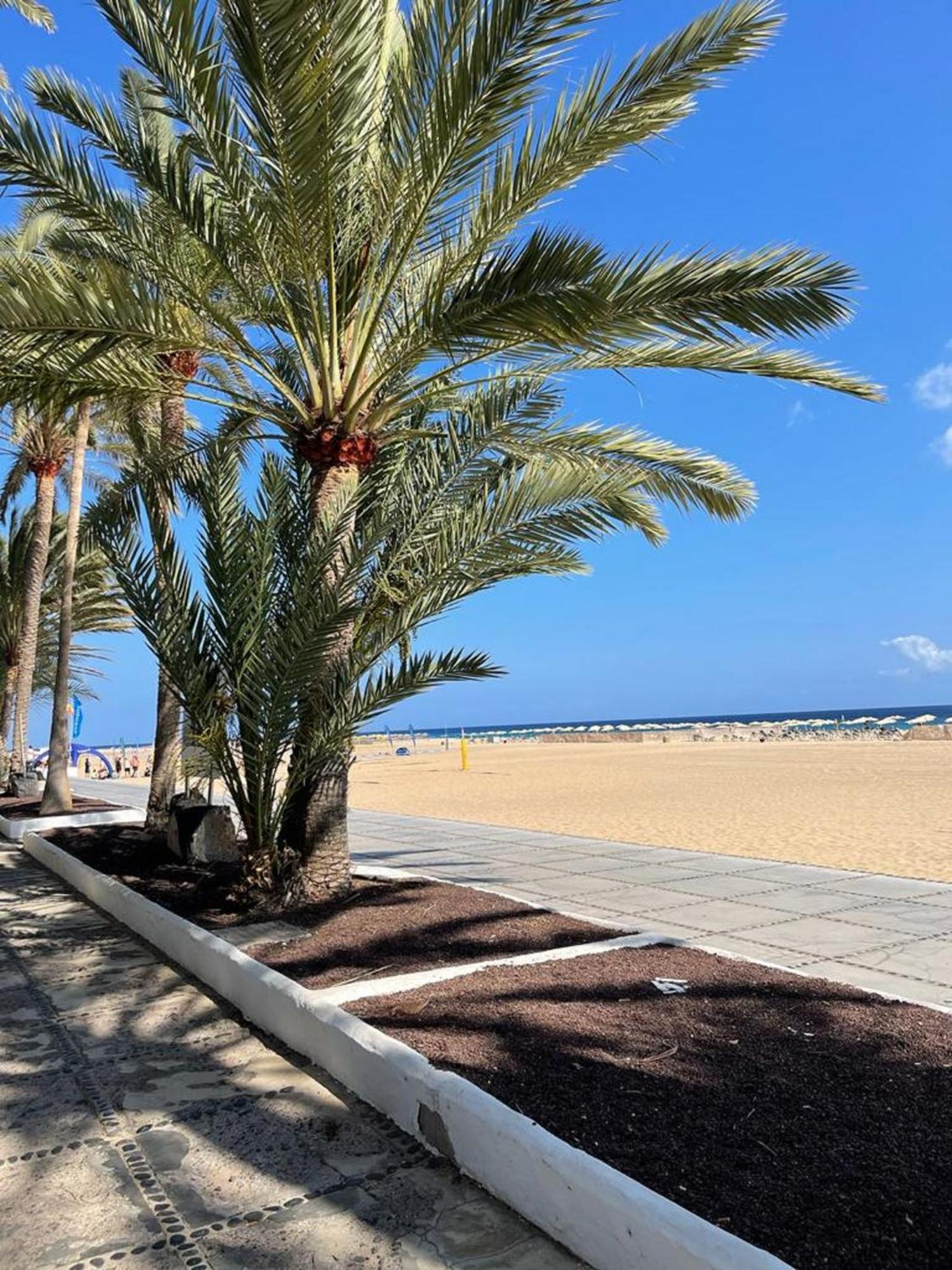 דירות Playa Jandia Casa Reina מראה חיצוני תמונה